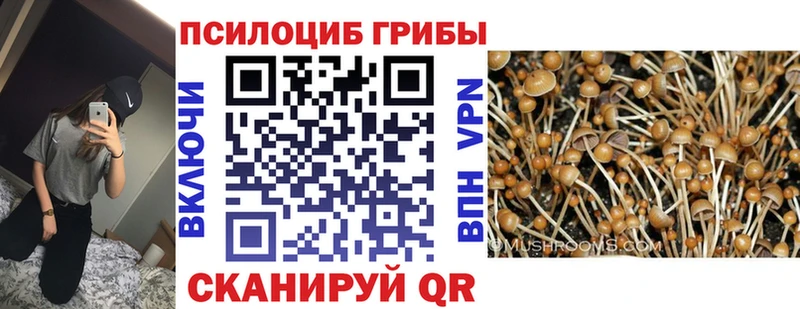 Псилоцибиновые грибы Magic Shrooms  как найти наркотики  Слюдянка 